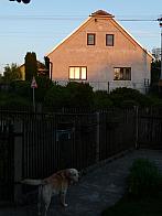 Třibřichy